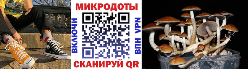 Псилоцибиновые грибы мухоморы  Юрьев-Польский 